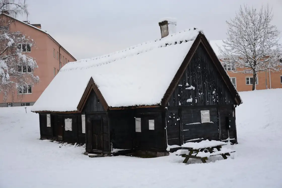 Cabana Poiana Șoimului, Păltiniș – fotografia 9